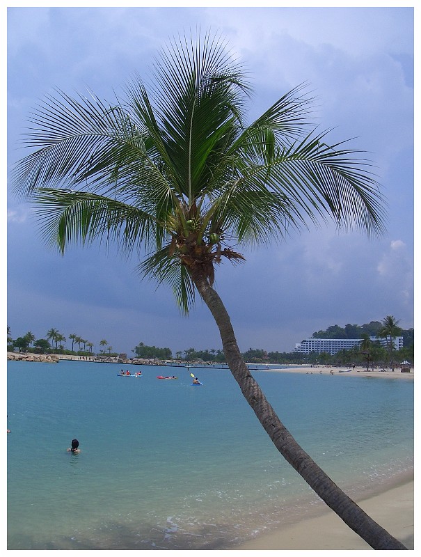 Fake Beach, Singapore.JPG